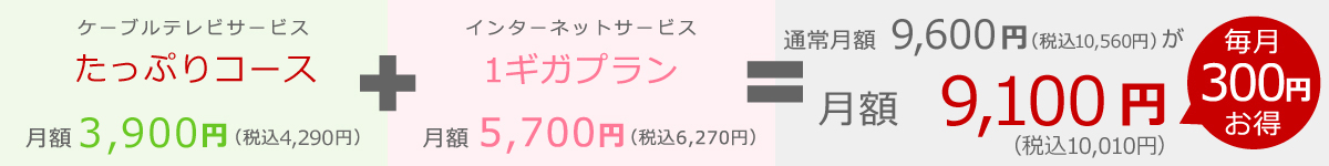 インターネットとのセット契約でお得なダブル割|たっぷりコース